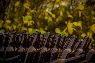 Photo n°19 de Brasserie Will's - Bières artisanales bio - Ateliers Brassage à Orée d'Anjou (Brasserie)