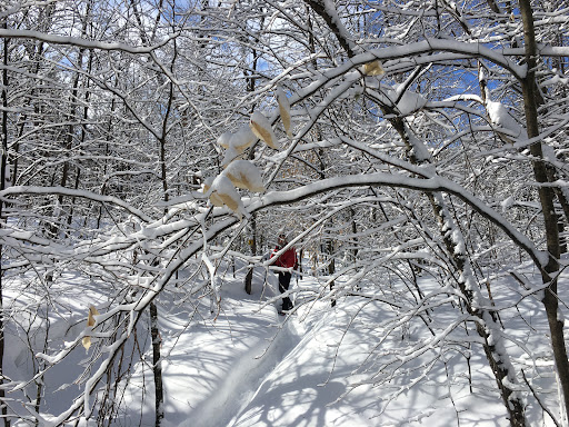 Club de ski de fond de labelle - Thumbnail
