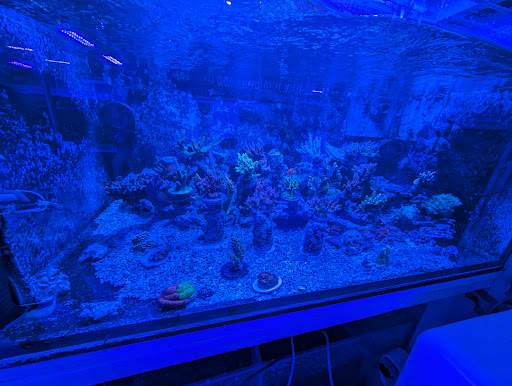 Pieces of the Ocean - Thumbnail