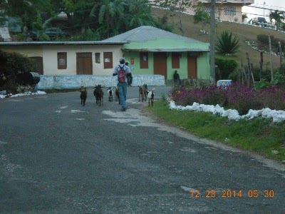 Photos of Bridge Shop