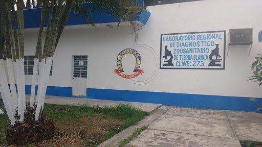 Laboratorio Regional De Diagnostico Zoosanitario De Tierra Blanca - Thumbnail