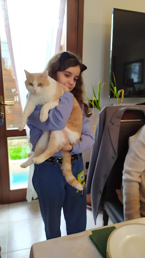 Veterinary Surgery Right Secchia - Thumbnail