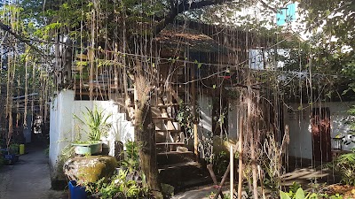 Photos of Paddy's Bamboo Guesthouse