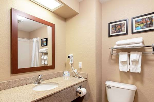 Comfort Inn & Suites and Suites Fredericksburg - Thumbnail