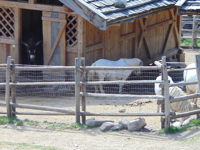 Tierwelt Rainguthof
