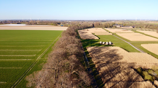Kastanienallee