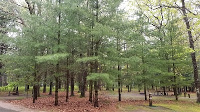 Photos of Nordhouse Dunes Wilderness Area