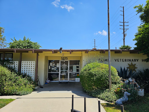 Somis Veterinary Hospital