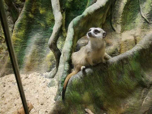 Latgales zoodārzs