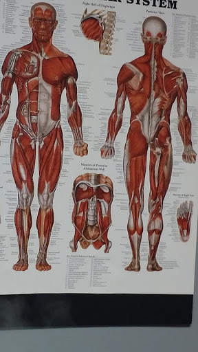 Lane Physical Therapy Center - Thumbnail
