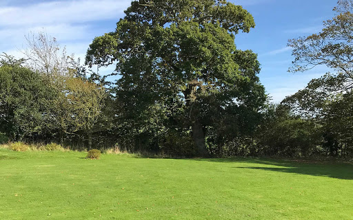 Buckland Campsite - Thumbnail