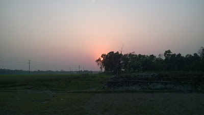 Photos of সেগুন বাগিচা