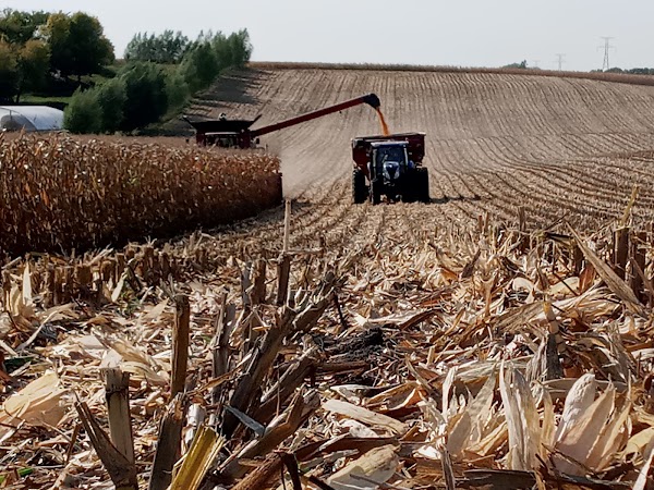 Bin Busters Seed LLC, Becks Hybrids dealer photo 3