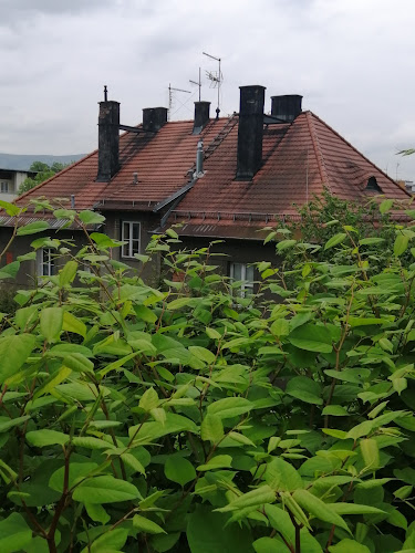 Kominiarz Czyszczenie Kominów Stanisław Plata Bielsko