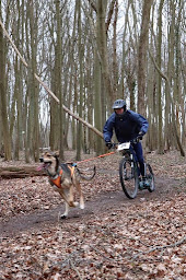 Photo n°11 de Acticani-shop.fr à Bois-de-Champ (Magasin d'articles de sports)