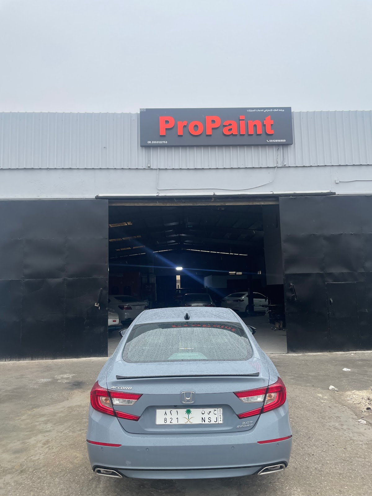 ProPaint - صورة 2