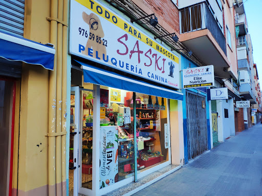 Saski - Visual