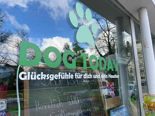 DogToday - Visual
