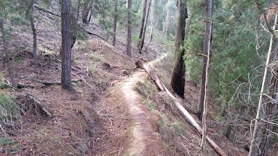 Photos of Blackwood Mineral Springs Caravan Park