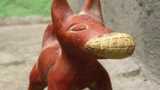 Veterinaria Xolotl