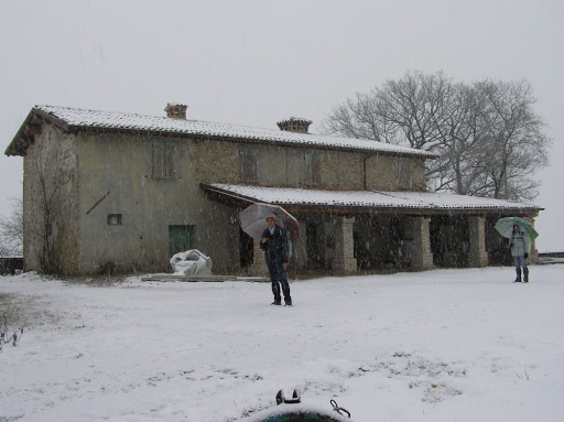 Raggio - Visual