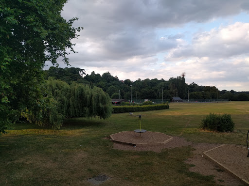 Hartham Common