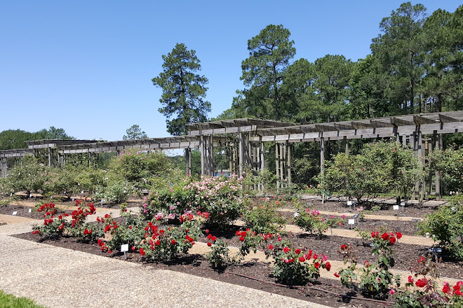 Visit Hodges Gardens State Park On Your Trip To Florien