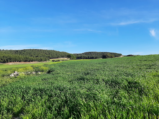 Cerro De La Mira - Thumbnail