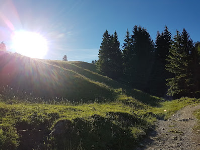 Hypnose-Coaching-psychologische Beratung - Frasdorf