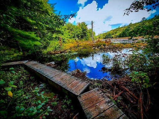 Pratt Mountain Summit Gallery - United States