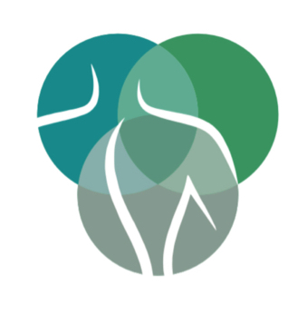 Integrative Medizin Kraft - Thumbnail