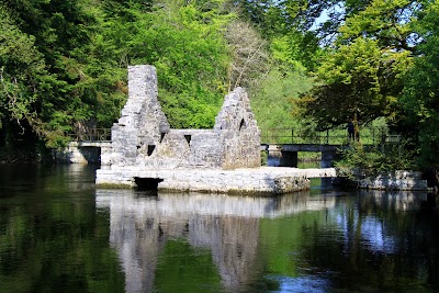 Photos of Cong Abbey