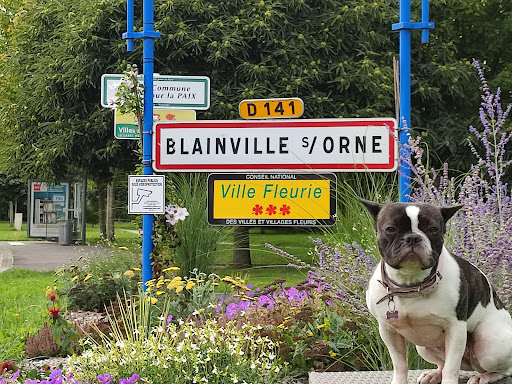 Mickaël Defrance IAD immobilier - Blainville sur Orne