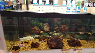 Petco