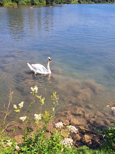 Bootshafen - Visual