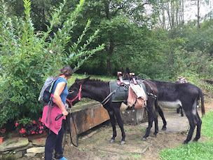 Photo n°24 de Escap'ânes: Escapade journée avec un âne, randonnée itinérante avec un âne dans les Pyrénées cathares, Ariège, Occitanie à Roquefixade (Centre de randonnée équestre)