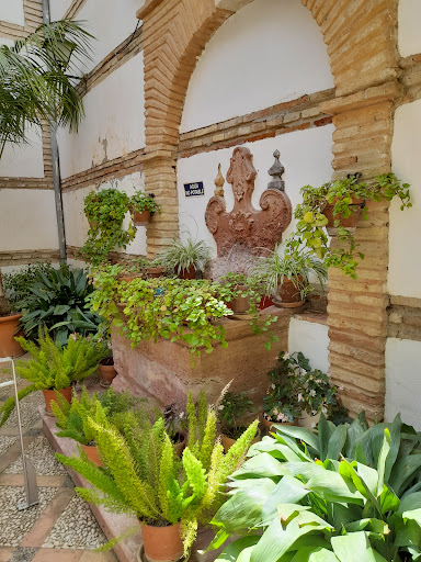 MAD Antequera - Visual