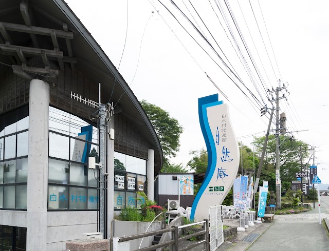 白川水源