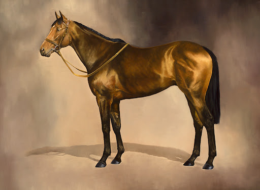 Lisa Miller Wildlife & Equestrian Art Gallery - United Kingdom