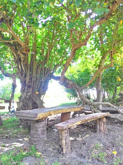 Photos of Tuwed Mangrove Park