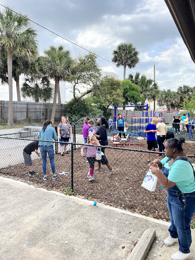 Blue Jay Academy - Visual