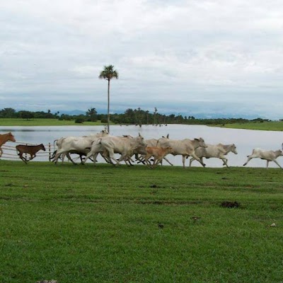 Photos of Hacha Park