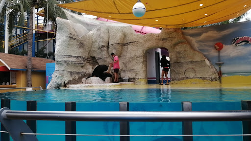 Hotel Splash Inn Nuevo Vallarta - Thumbnail