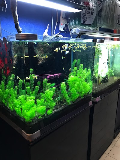 Taman Desa Aquarium Kuala Krai Kelantan 60 12 208 1336