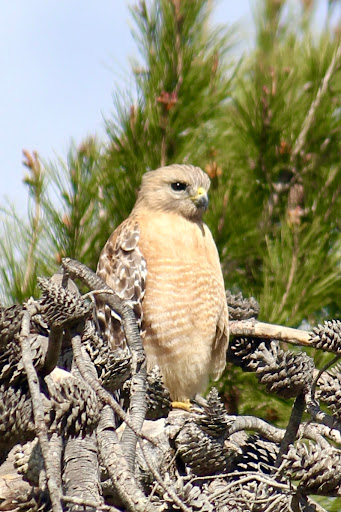 Wells-Elings Marsh Trail - Thumbnail