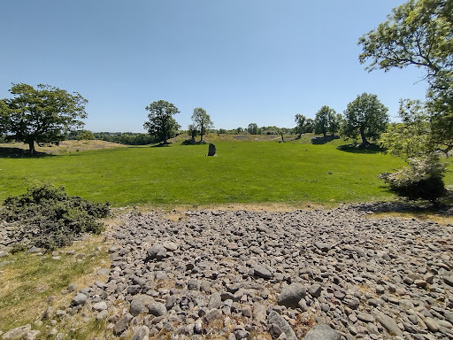 Mayburgh Henge - Thumbnail