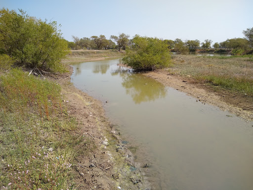 Caudle Park - Visual