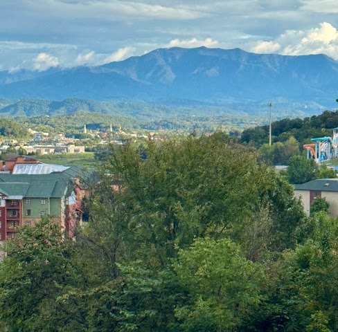 SANCTUARY TREEHOUSE RESORT by null