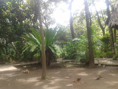 Photos of Jogging Track Krakatau Junction