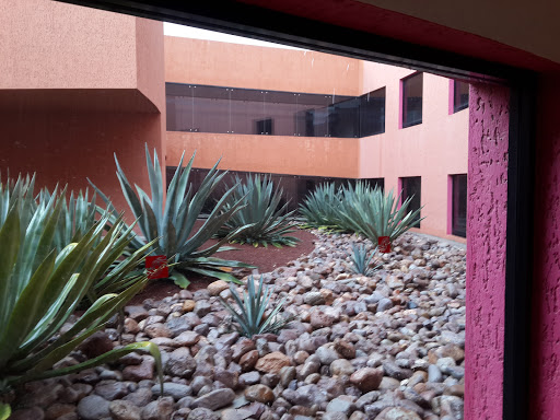 The College of San Luis - Thumbnail